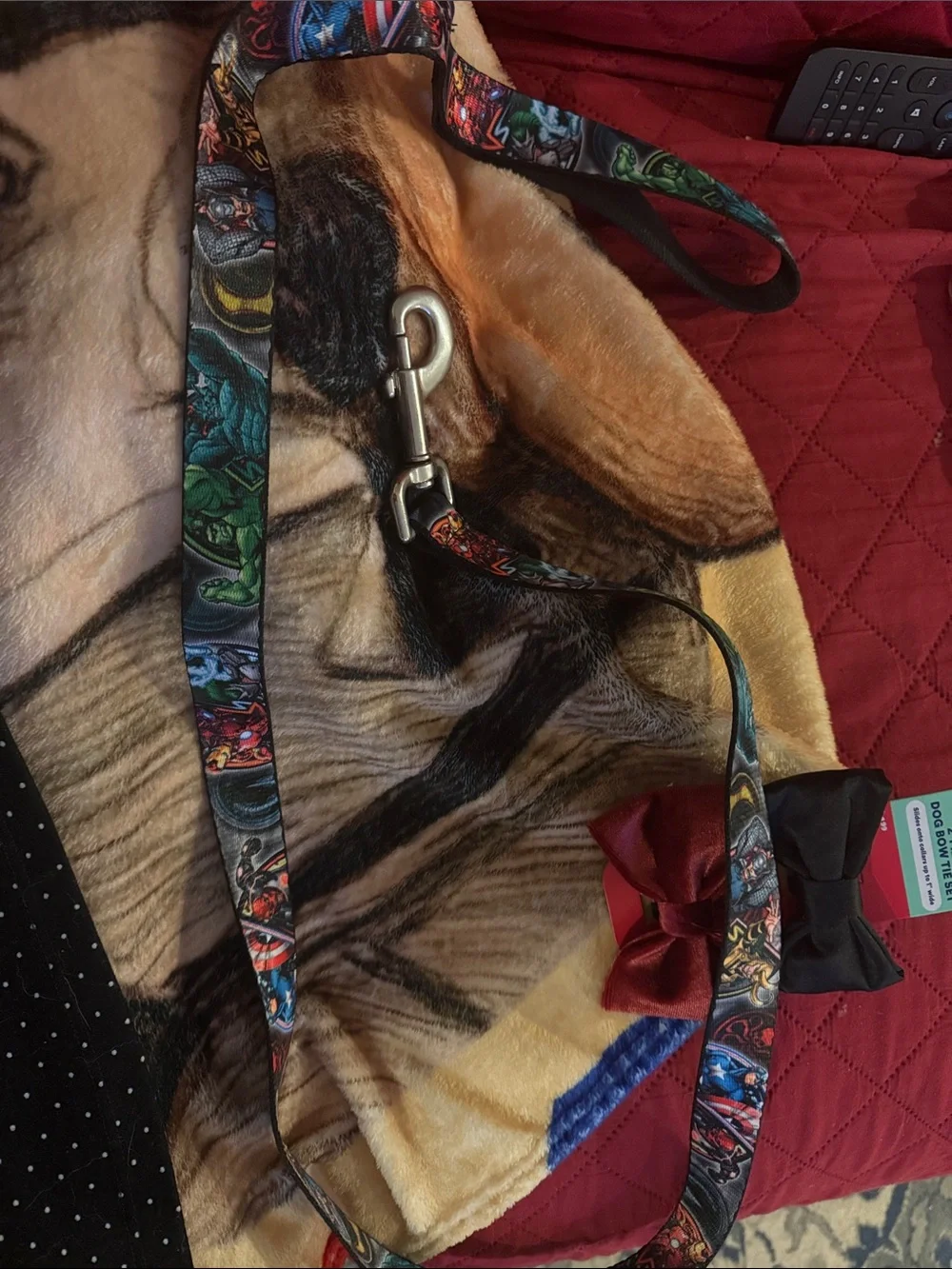 Marvel dog leash with two mini dogs sets